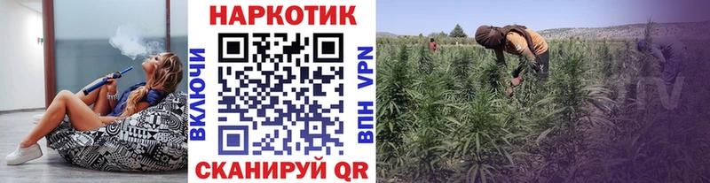 Где купить наркоту Гаврилов Посад COCAIN АМФЕТАМИН Меф Гашиш Конопля