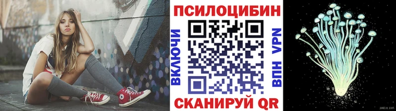 mega   Гаврилов Посад  Галлюциногенные грибы Magic Shrooms 